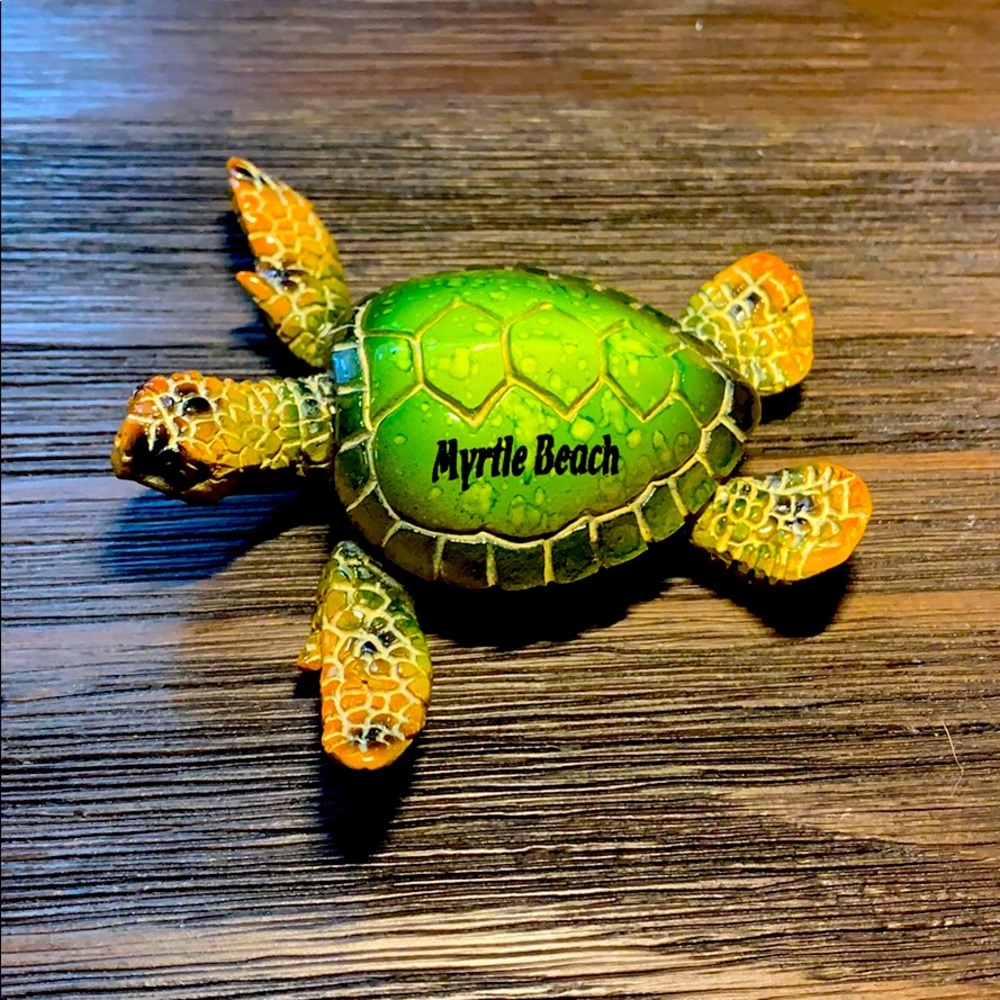 Myrtle beach turtle
